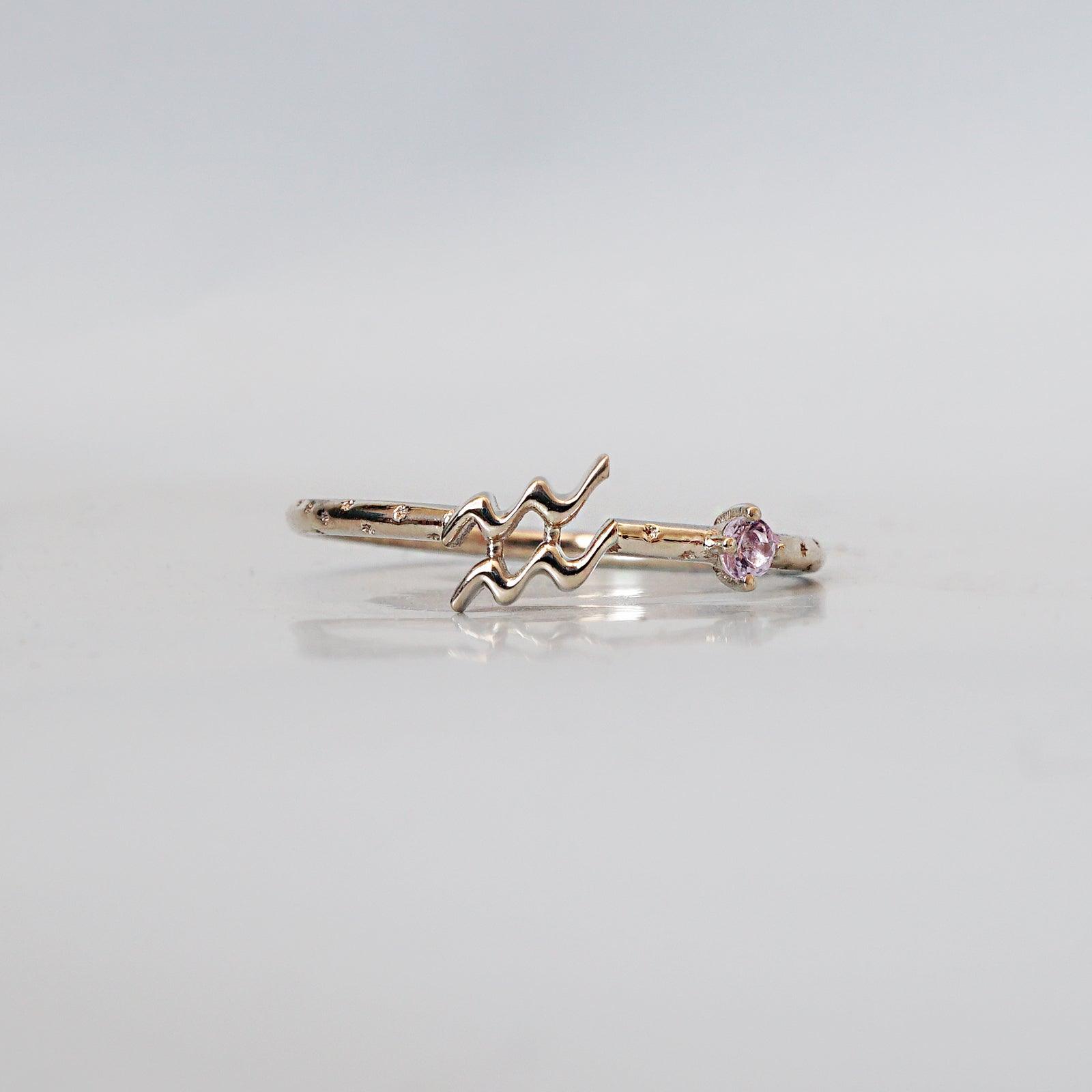 14K Aquarius Horoscope Birthstone Ring (Amethyst + Garnet)