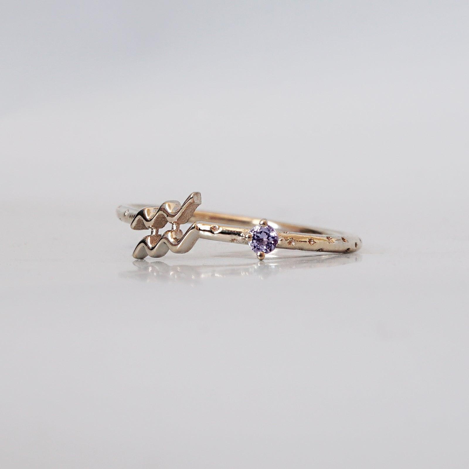 14K Aquarius Horoscope Birthstone Ring (Amethyst + Garnet)