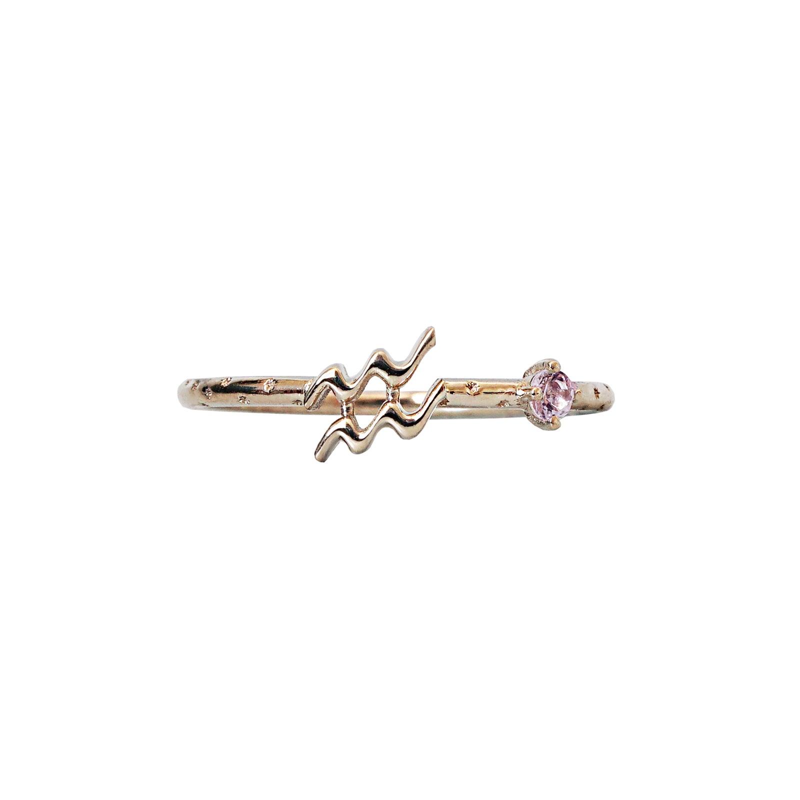 14K Aquarius Horoscope Birthstone Ring (Amethyst + Garnet)